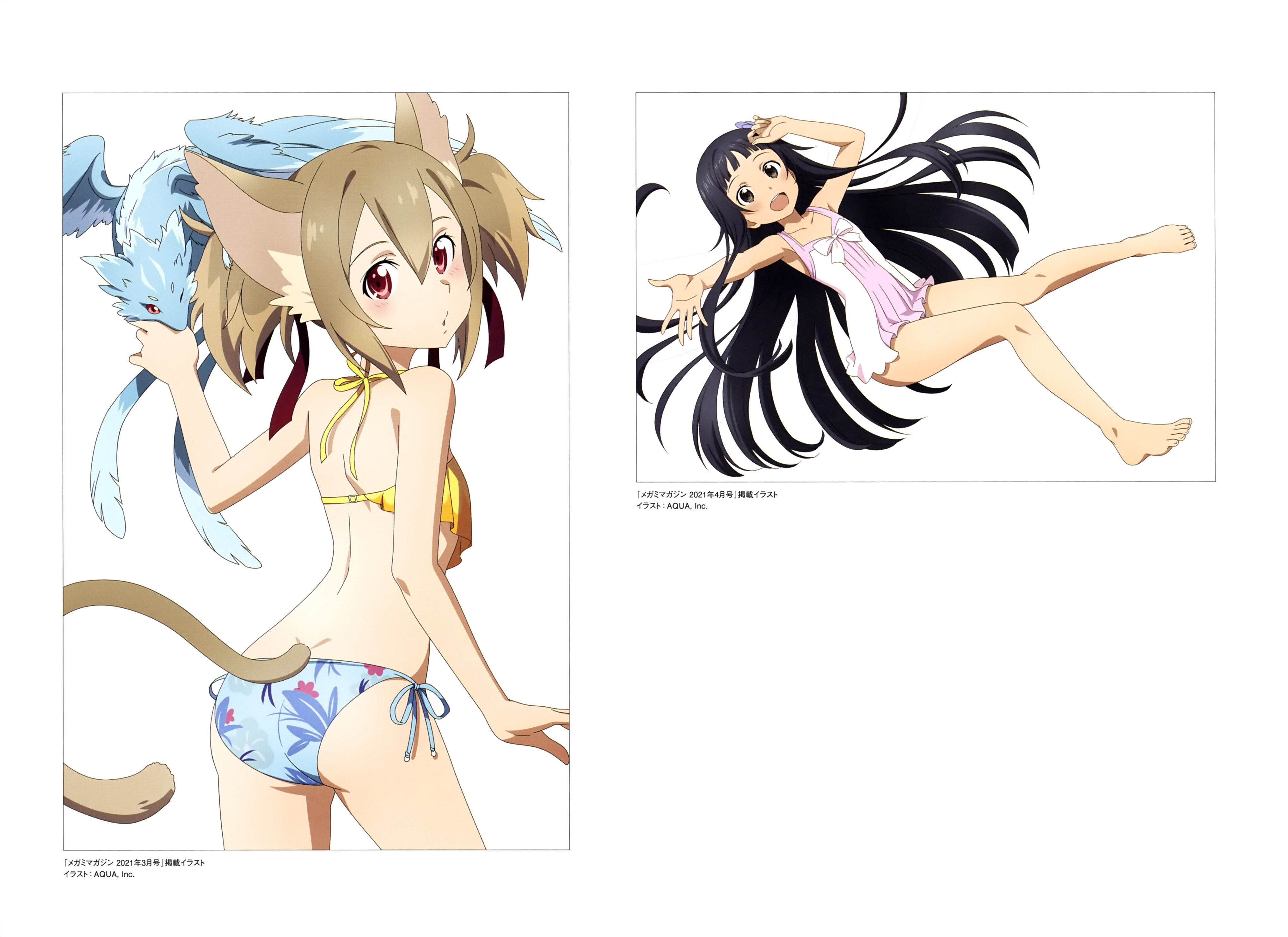 Sao silica outlet body pillow